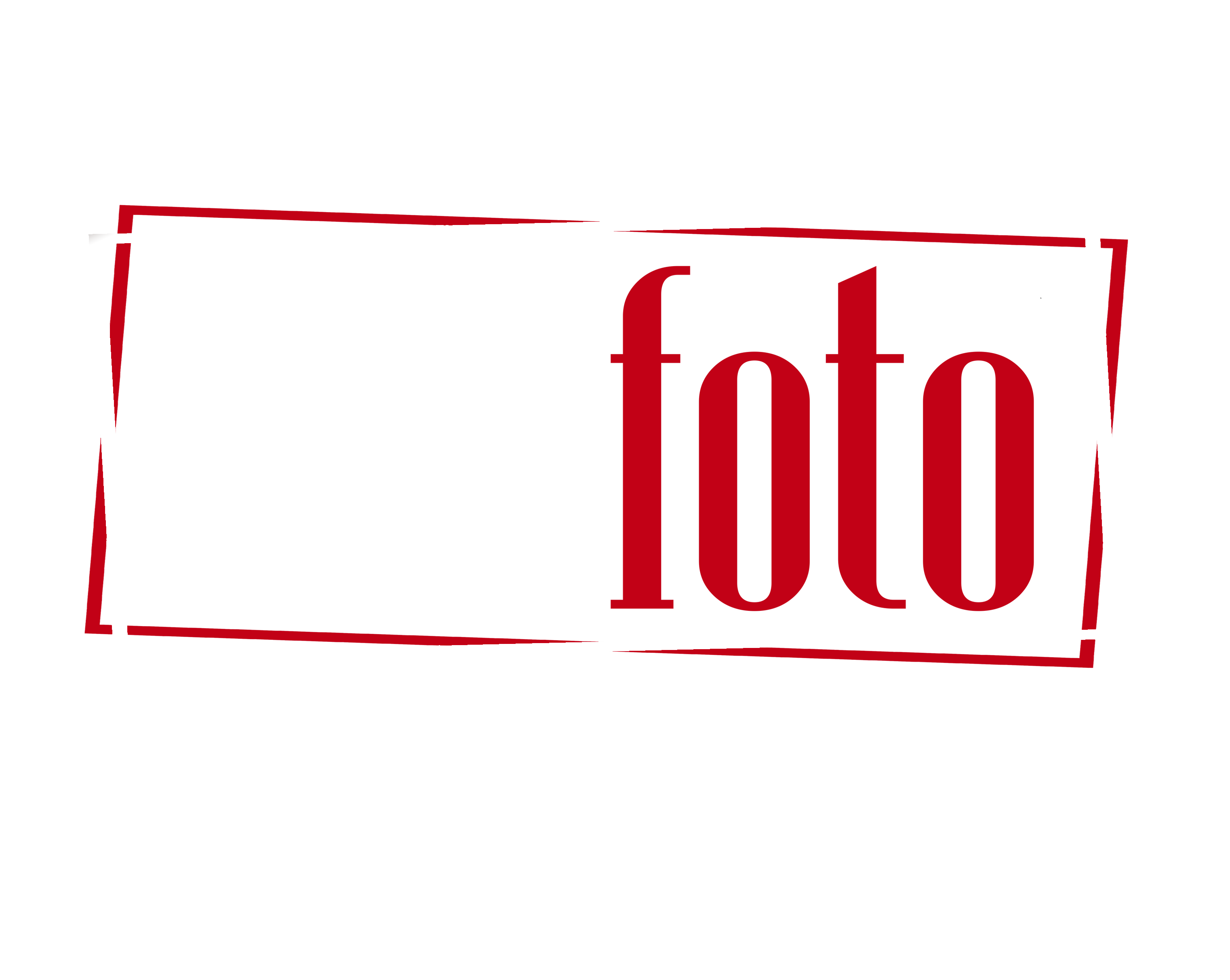 tefofoto logosu